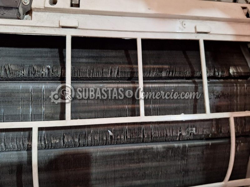 WhatsApp Image 2025-03-26 at 9.16.06 PM (3).png